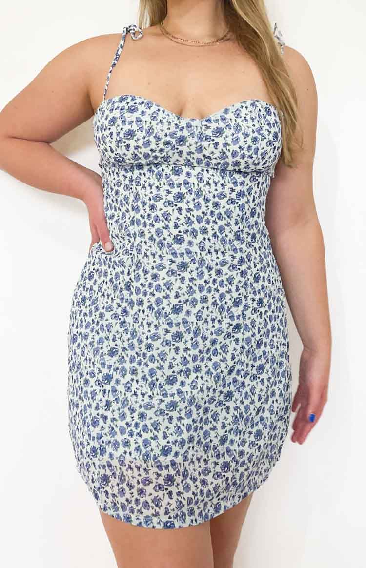 10688-penny-lane-dress-blue-floral-1.jpg