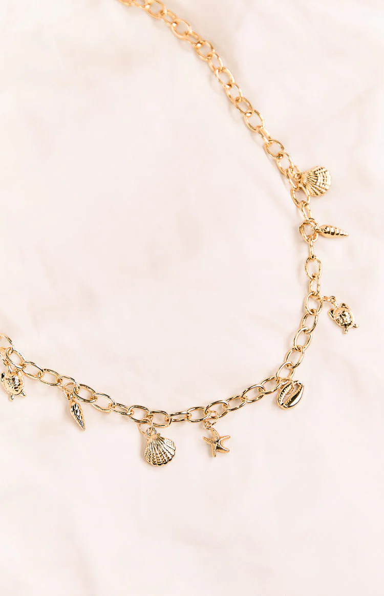 10779-gold-chain-shell-belt-1.webp